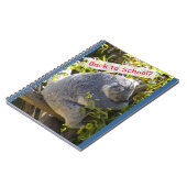 Carnet Koala de retour à l'école (Côté gauche)