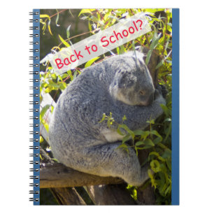 Carnet Koala de retour à l'école
