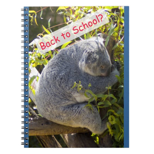 Carnet Koala de retour à l'école (Devant)
