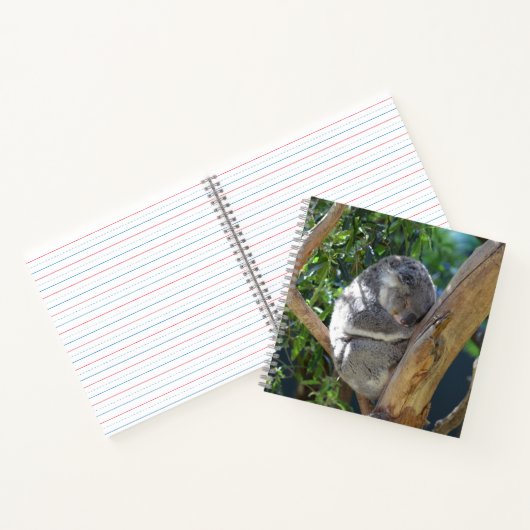 Carnet Koala dormant dans l'arbre (Intérieur)