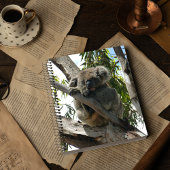 Carnet Koala - Endormi