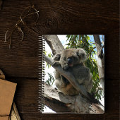 Carnet Koala - Endormi