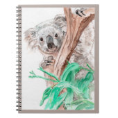 Carnet Koala, Peek-a-Boo (Devant)