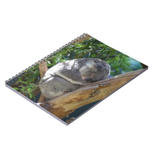 Carnet Koala somnolent (Côté gauche)