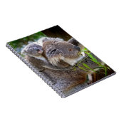 Carnet Koalas (Côté Droit)