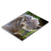 Carnet Koalas (Côté gauche)