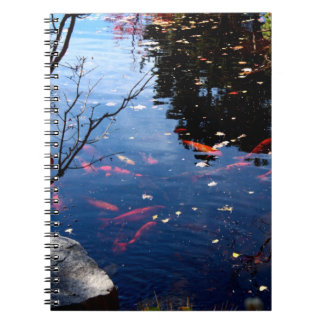 Carnet Koi pond notebook