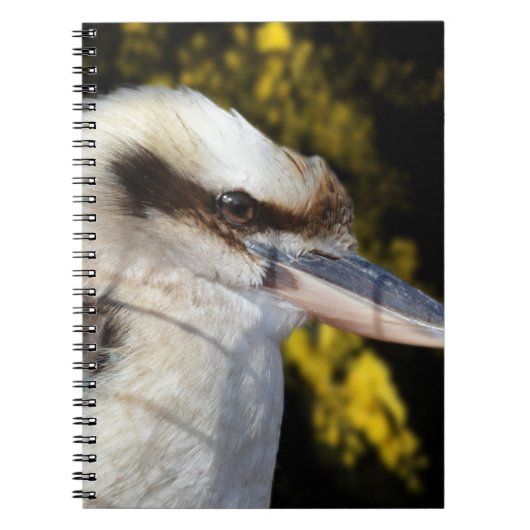 Carnet Kookaburra, aile bleue australienne, (Devant)