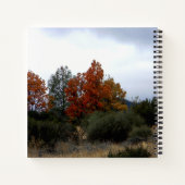 Carnet La beauté automnale.... (Dos)