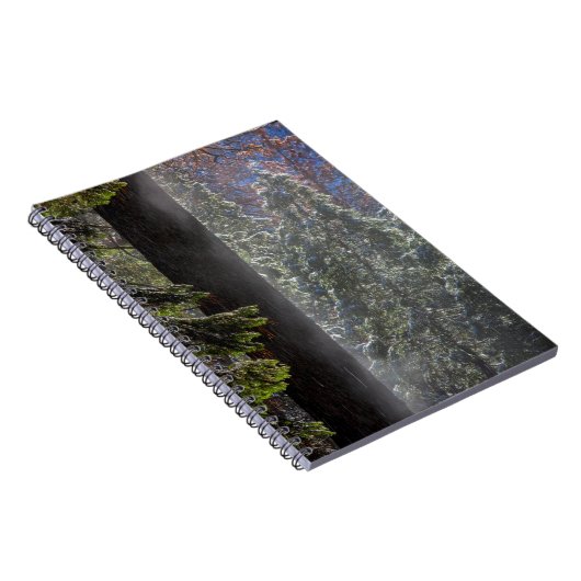 Carnet La brume neigeuse dans la forêt (Côté Droit)