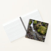 Carnet La cascade de Fae.... (Intérieur)