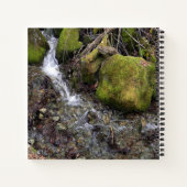 Carnet La cascade de Fae.... (Dos)