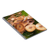 Carnet La chute des champignons (Côté Droit)