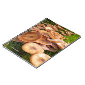 Carnet La chute des champignons (Côté gauche)