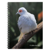 Carnet La colombe de diamant sous les projecteurs (Devant)