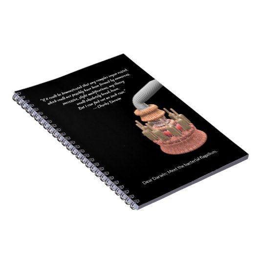 Carnet La concession de Darwin et le flagellum bactérien (Côté Droit)