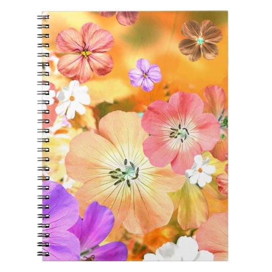 Carnet La fée sortira bientôt 3 (Devant)