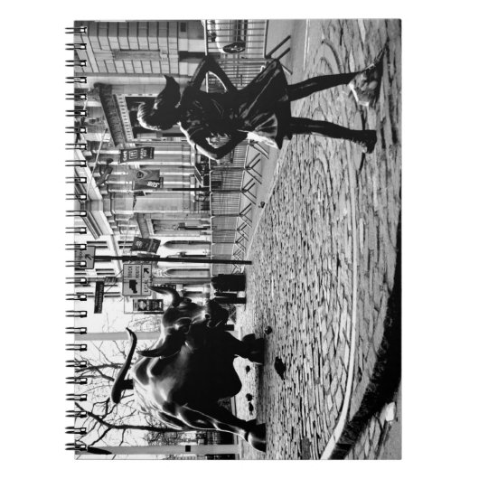 Carnet La fille sans peur (Devant)