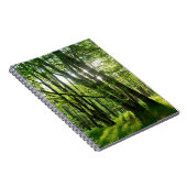 Carnet La forêt au printemps (Côté Droit)