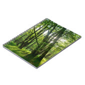Carnet La forêt au printemps (Côté gauche)