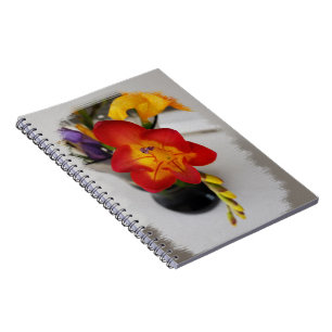 Carnet La frénésie rouge