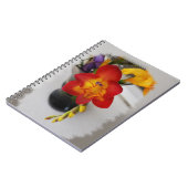 Carnet La frénésie rouge (Côté gauche)