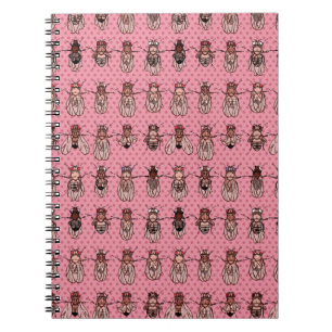 Carnet La génétique de mouche à fruit de drosophile -