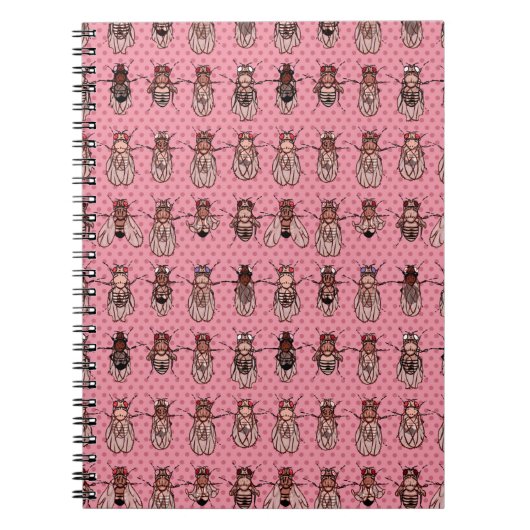 Carnet La génétique de mouche à fruit de drosophile - (Devant)