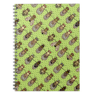 Carnet La génétique de mouche à fruit de drosophile -