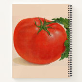 Carnet la grande tomate (Dos)