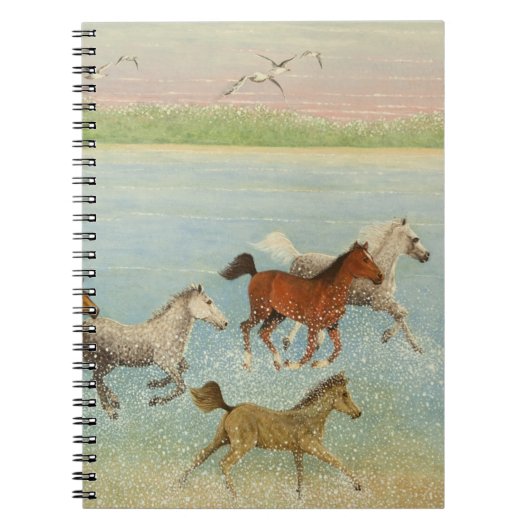 Carnet La joie de la liberté 2013 (Devant)