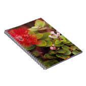 Carnet La Lehua S'Éclate Dans Les Volcans D'Hawaï (Côté Droit)