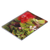 Carnet La Lehua S'Éclate Dans Les Volcans D'Hawaï (Côté gauche)