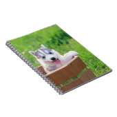 Carnet La marionnette sibérienne Husky dans un pot (Côté Droit)