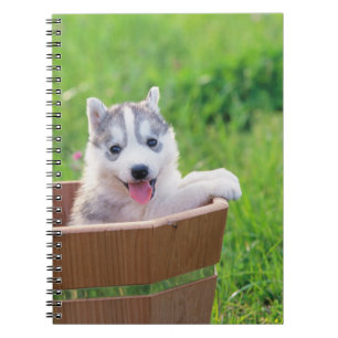 Carnet La marionnette sibérienne Husky dans un pot