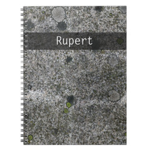 Carnet La mousse grise de granit de géologie de nature