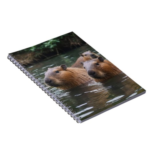 Carnet La Nage Des Capybaras Dans La Rivière, (Côté Droit)