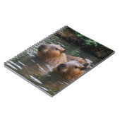 Carnet La Nage Des Capybaras Dans La Rivière, (Côté gauche)