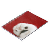 Carnet La patte du chat (Côté gauche)