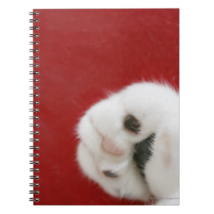 Carnet La patte du chat