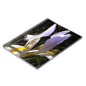 Carnet La peinture Fleur sauvage algérienne Iris Hyperréa (Côté gauche)
