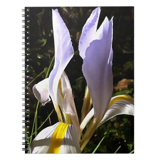 Carnet La peinture Fleur sauvage algérienne Iris Hyperréa (Devant)