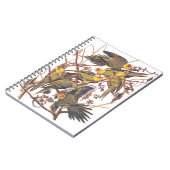 Carnet La perruque de Caroline d'Audubon (Côté gauche)