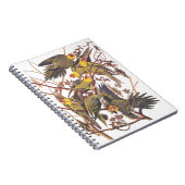 Carnet La perruque de Caroline d'Audubon (Côté Droit)