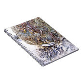 CARNET LA PLAGE (Côté Droit)