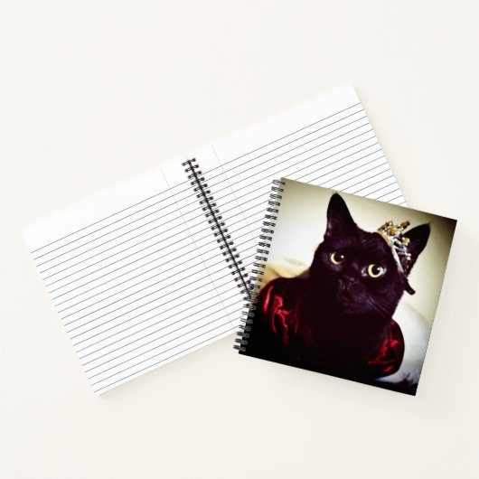 Carnet La princesse Kitty (Intérieur)