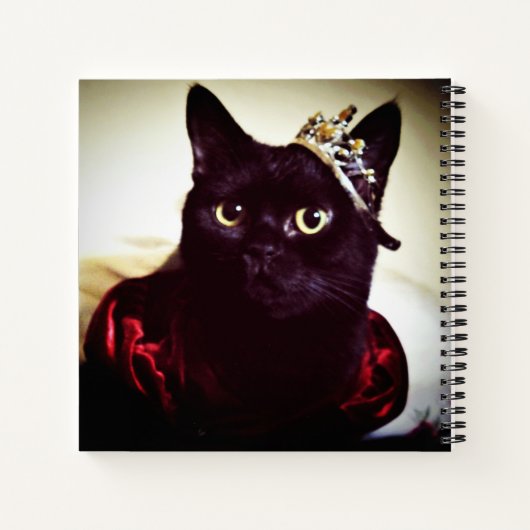 Carnet La princesse Kitty (Dos)