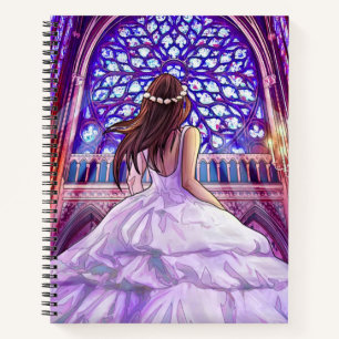 Carnet La princesse volée