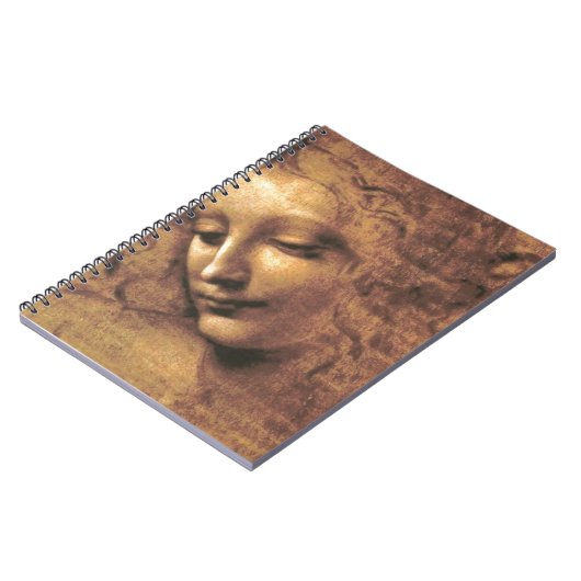 Carnet La Scapigliata par Leonardo da Vinci (Côté gauche)