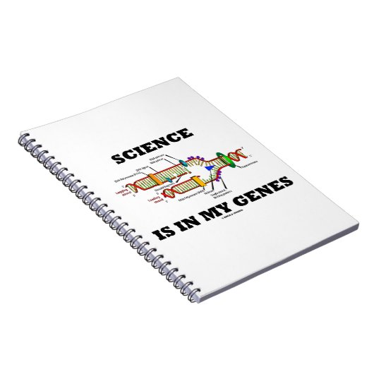 Carnet La science est dans mes gènes (réplication de l'AD (Côté Droit)